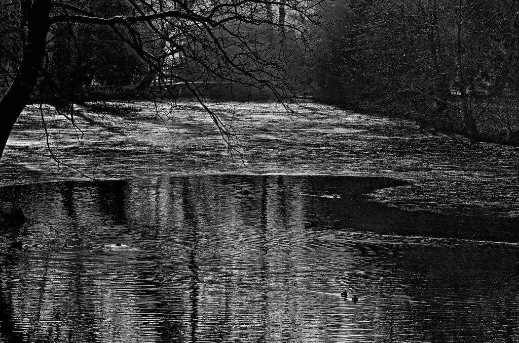 Park Maksimir, drugo jezero (Foto Zoran Mirković)